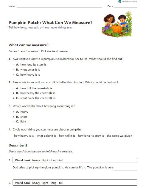 Pumpkin Patch: What Can We Measure? worksheet preview