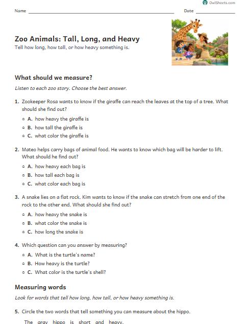 Zoo Animals: Tall, Long, and Heavy worksheet preview