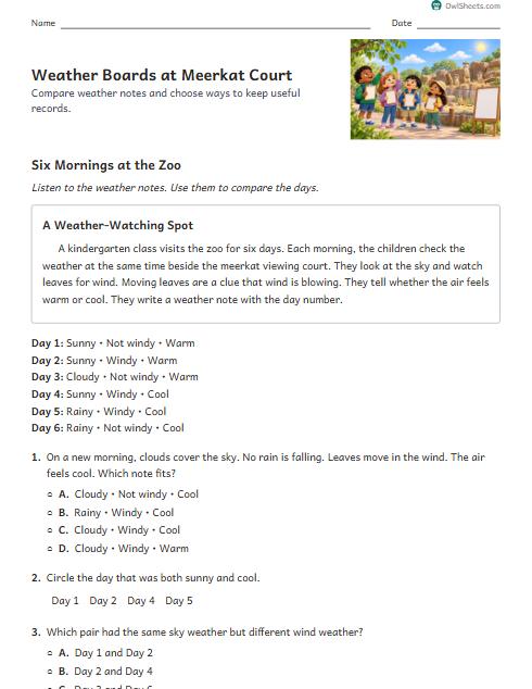 Weather Boards at Meerkat Court worksheet preview