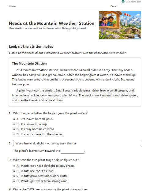 Needs at the Mountain Weather Station worksheet preview