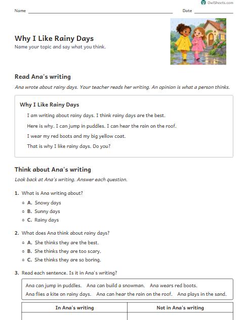 Why I Like Rainy Days worksheet preview