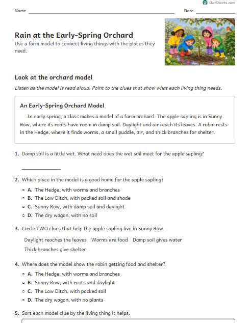 Rain at the Early-Spring Orchard worksheet preview