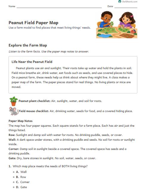 Peanut Field Paper Map worksheet preview