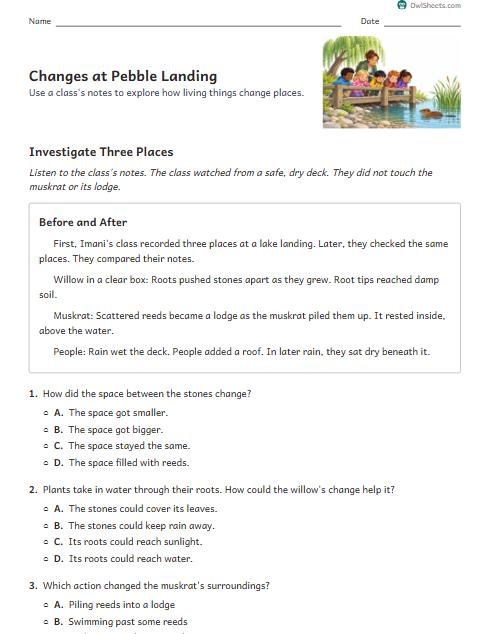Changes at Pebble Landing worksheet preview