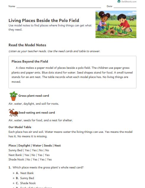 Living Places Beside the Polo Field worksheet preview