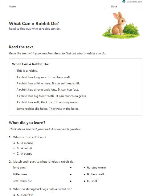 What Can a Rabbit Do? worksheet preview