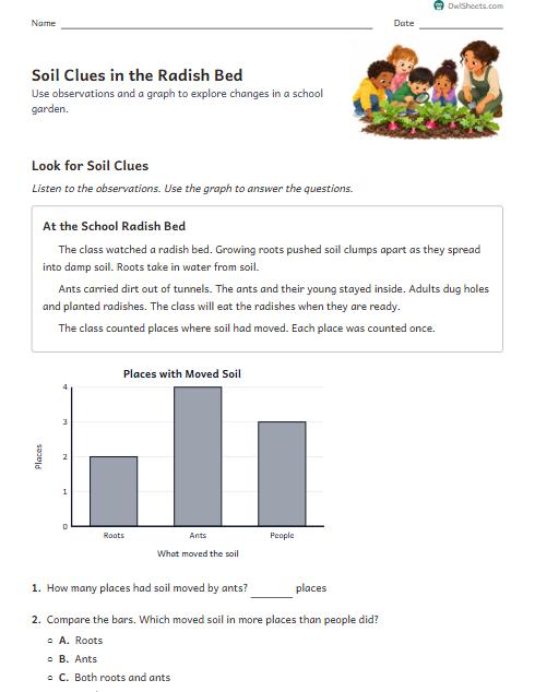 Soil Clues in the Radish Bed worksheet preview