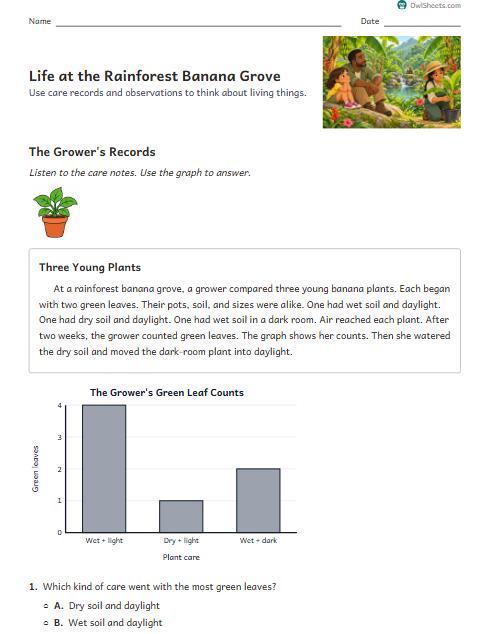 Life at the Rainforest Banana Grove worksheet preview