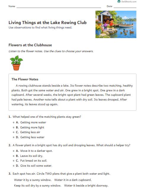 Living Things at the Lake Rowing Club worksheet preview