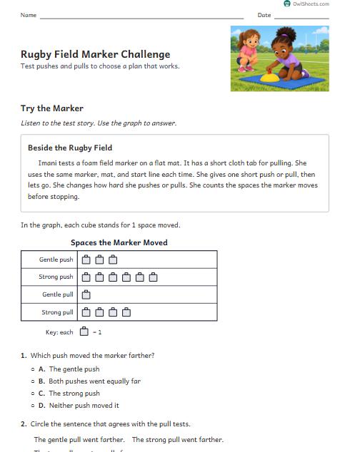 Rugby Field Marker Challenge worksheet preview