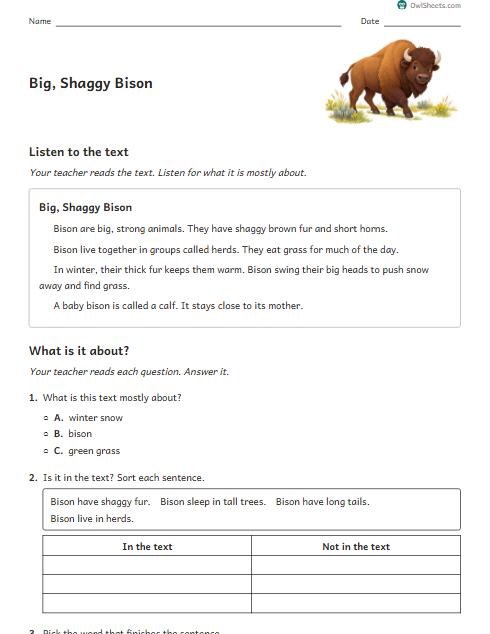 Big, Shaggy Bison worksheet preview