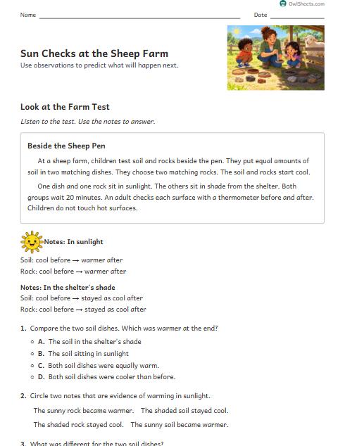 Sun Checks at the Sheep Farm worksheet preview