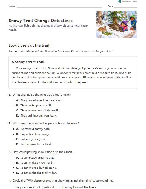 Snowy Trail Change Detectives worksheet preview