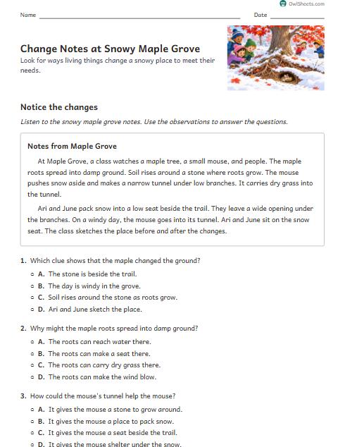 Change Notes at Snowy Maple Grove worksheet preview