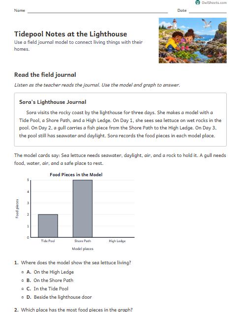 Tidepool Notes at the Lighthouse worksheet preview