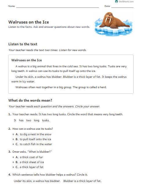 Walruses on the Ice worksheet preview